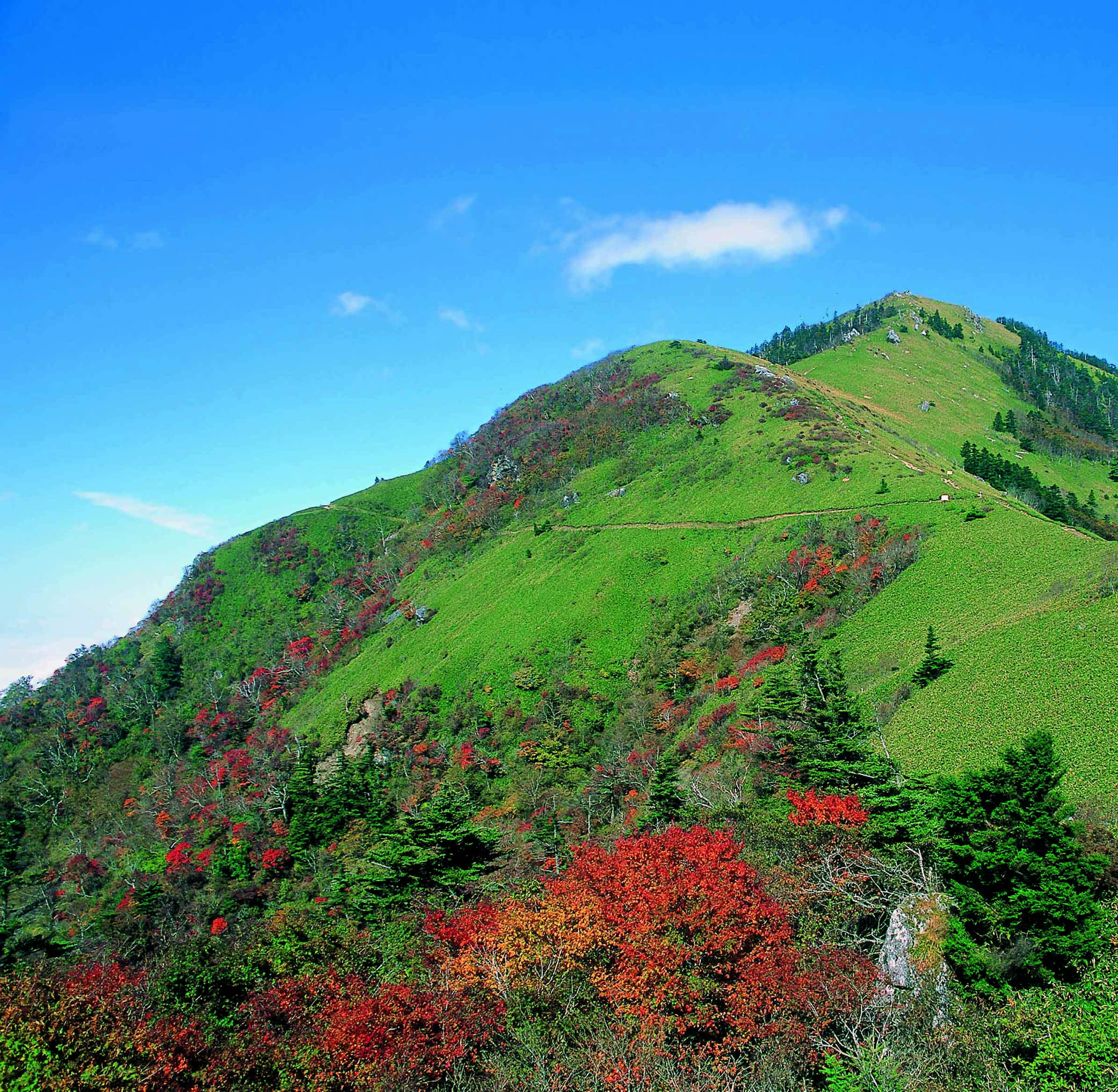 剣山 | 自然・景観 | 見る | ぽーたるみま